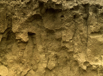 IceAgeLoss Ice Age loss