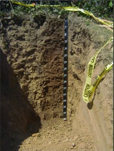 MarineSediment Marine sediment