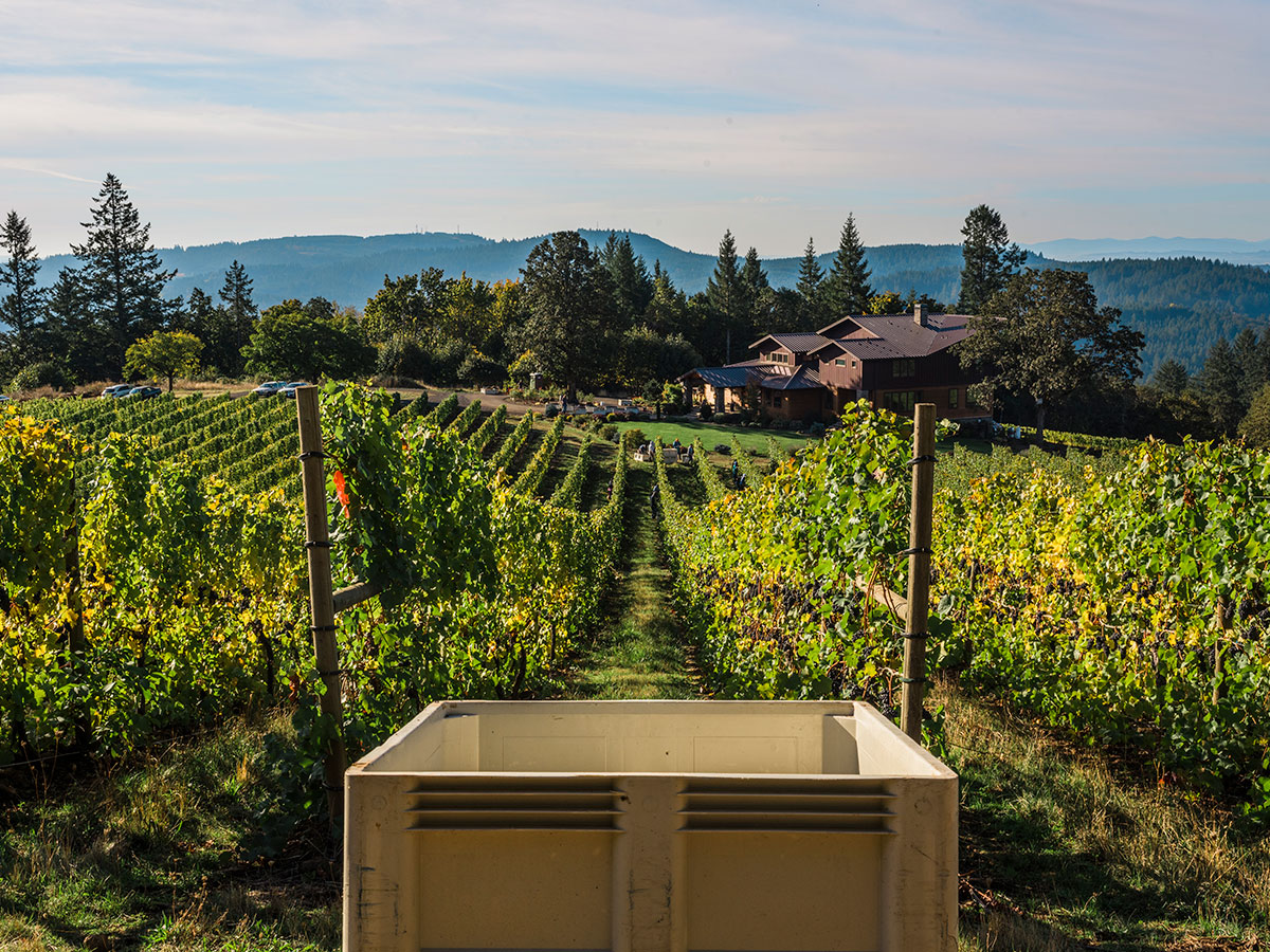 Bryn Mawr Vineyards EolaAmity Hills