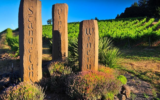 Stangeland Vineyard Winery Eola-Amity Hills