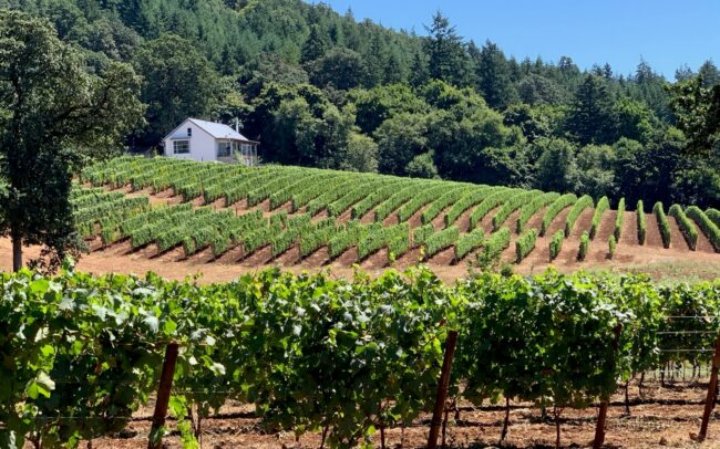 Orchard House Estates - Home of Iterum Wines