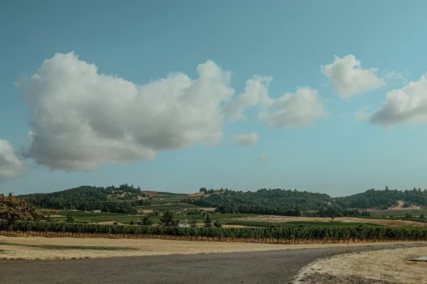 Anahata Vineyard