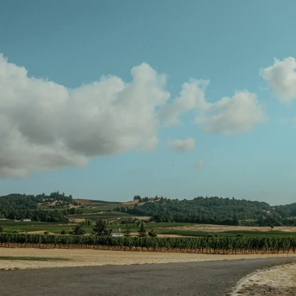 Anahata Vineyard