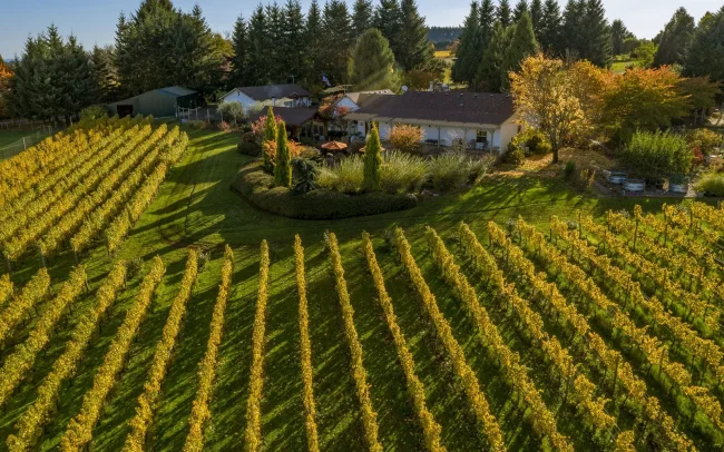 Aerial view over Bravuro Cellars and vineyards in the Eola-Amity Hills, Willamette Valley, Oregon