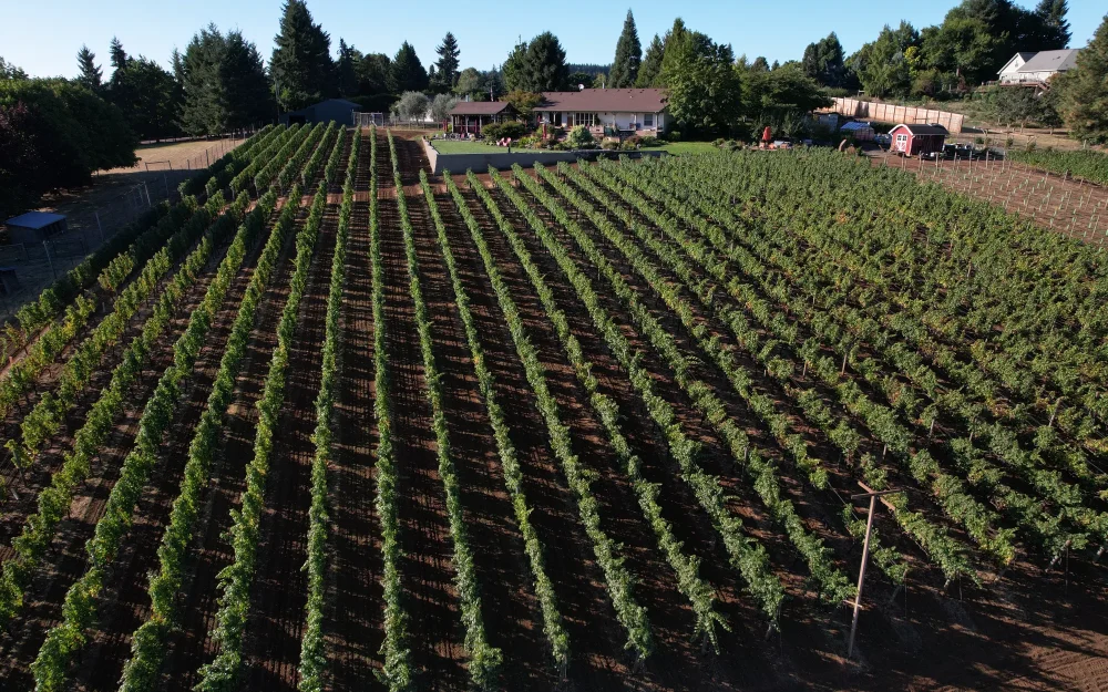 Bravuro Cellars and vineyards