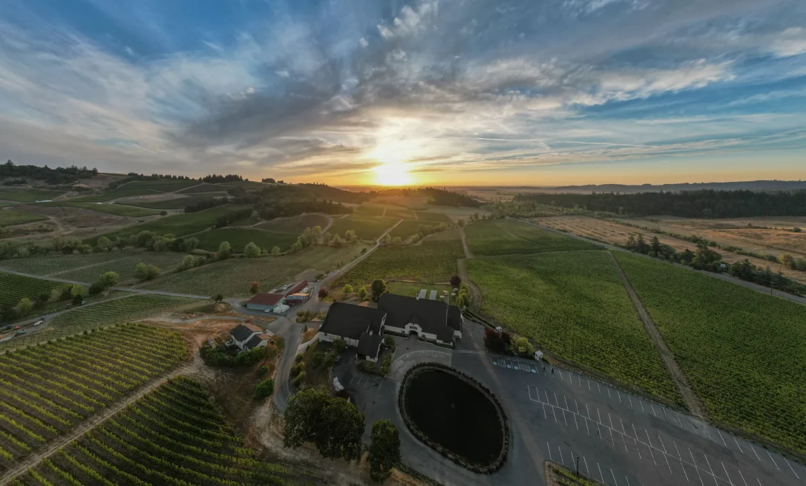 Aerial view of Zenith Vineyard in the Eola-Amity Hills, Willamette Valley, Oregon