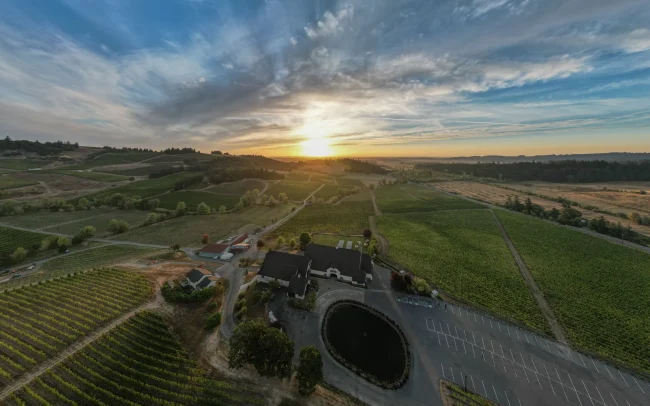 Aerial view of Zenith Vineyard in the Eola-Amity Hills, Willamette Valley, Oregon