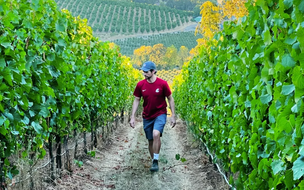 Kenny McMahon walking through the Arabilis vineyard