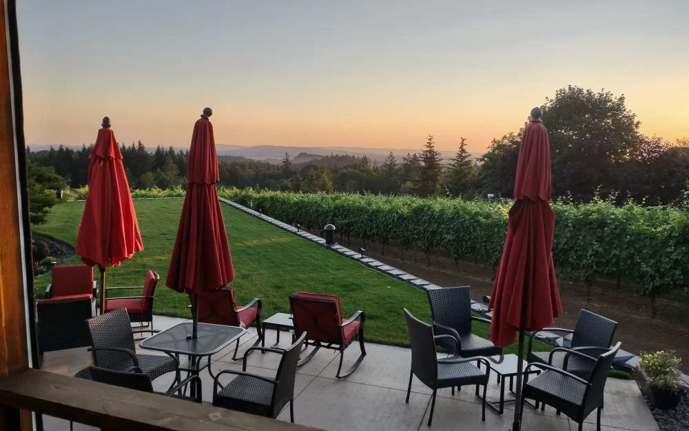 Outdoor wine tasting with a view of the vineyard at Bravuro Cellars