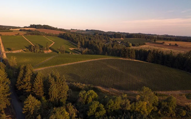 Aerial drone footage of Lingua Franca vineyards in Eola-Amity Hills, Willamette Valley, Oregon