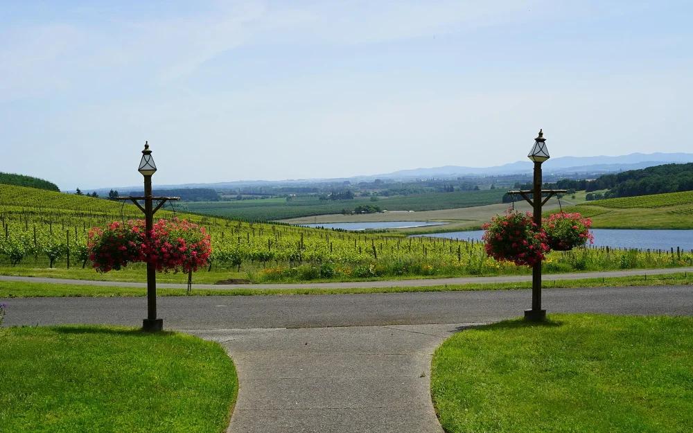 Cherry Hill Winery, Eola-Amity Hills, Willamette Valley, Oregon
