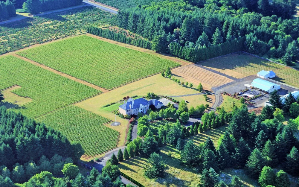 Aerial view over Cubanismo Vineyards
