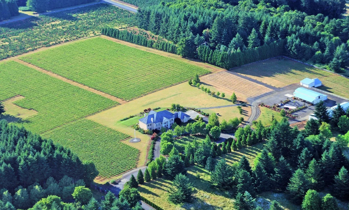 Aerial view over Cubanismo Vineyards