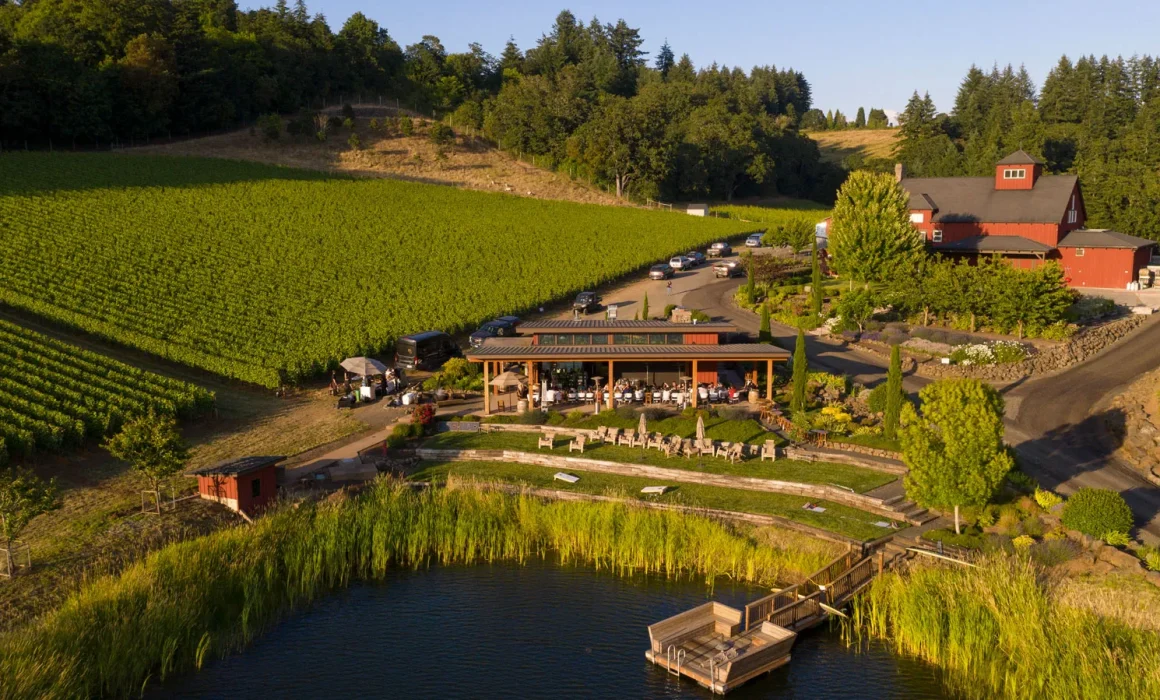 Aerial view of Dukes Family Vineyard