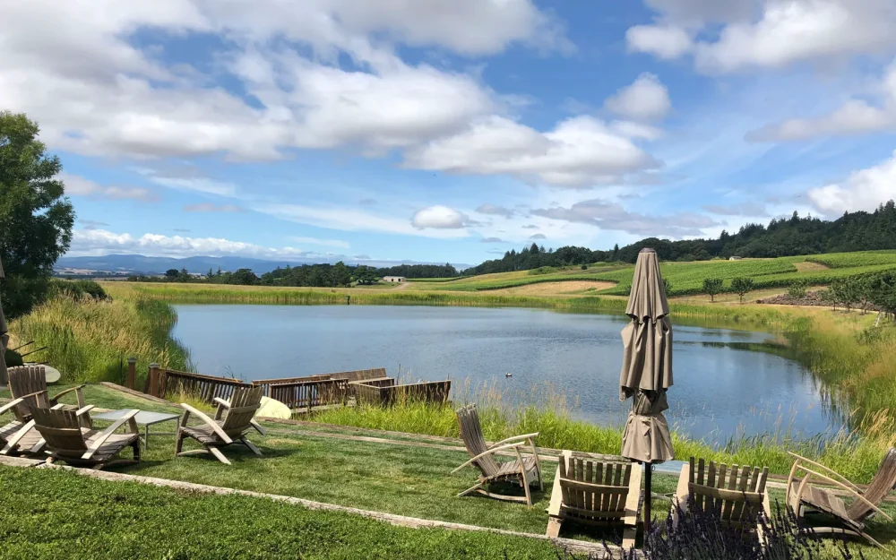 Peaceful outdoor tasting experience by the pond at Dukes Family Vineyards in Eola-Amity Hills, Willamette Valley, Oregon