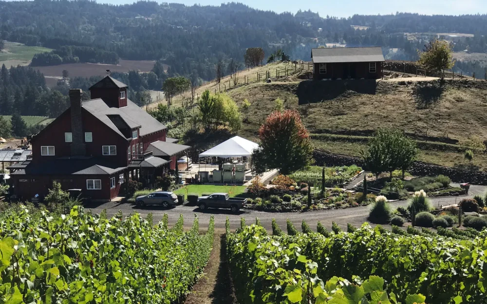 Best wine tasting in the Willamette Valley, Dukes Family Vineyard
