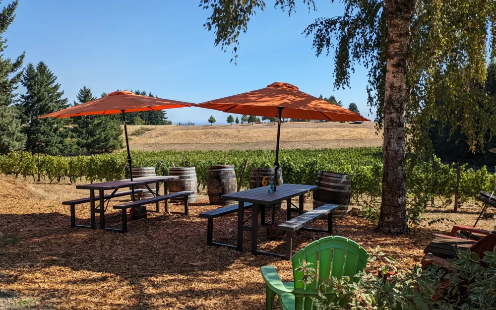 Best outdoor wine tasting in the Eola-Amity Hills, Varnum Vintners