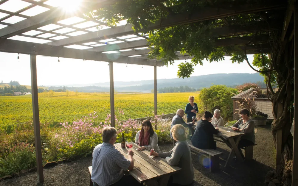 Best outdoor wine tasting experiences with a vineyard view in Eola-Amity Hills, Willamette Valley, Oregon, Bethel Heights Vineyard