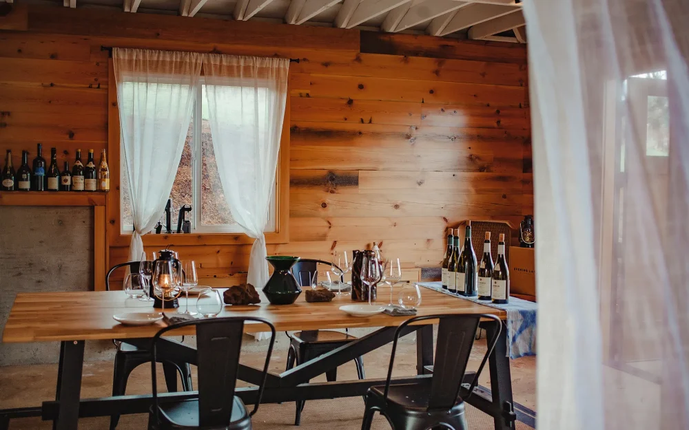 Intimate indoor wine tasting experience at Evening Land Vineyards in Eola-Amity Hills, Willamette Valley, Oregon