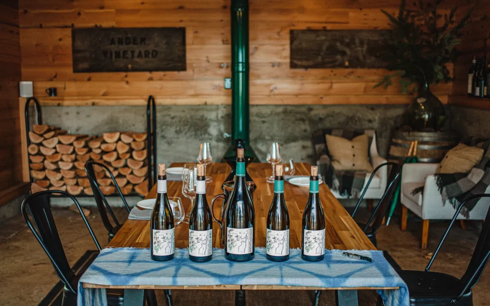 Evening Land Vineyards lineup of wine bottles