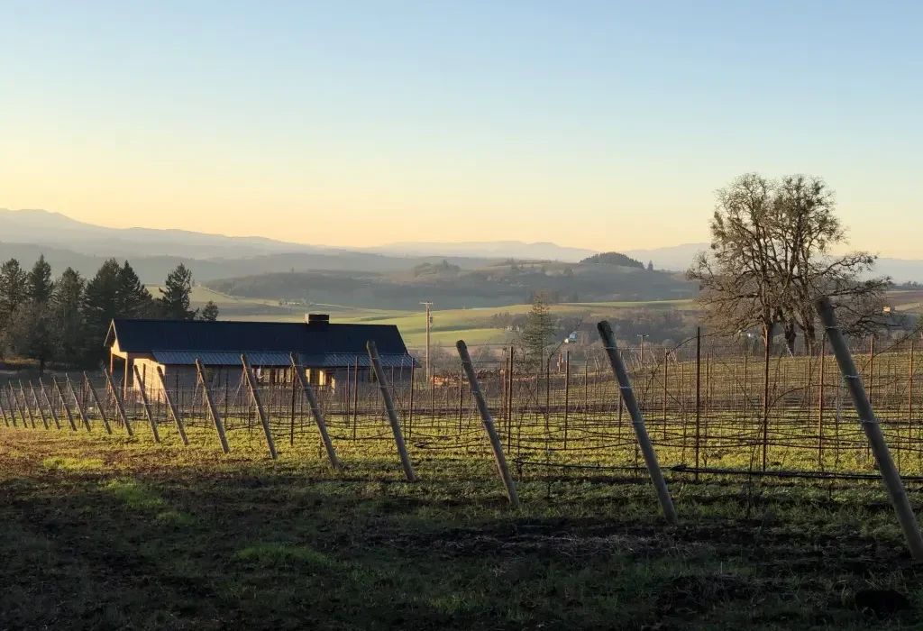 Royer Vineyard with house in the distance