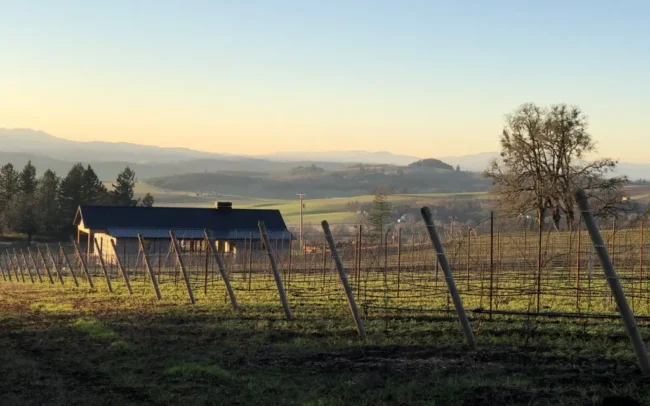 Royer Vineyard with house in the distance
