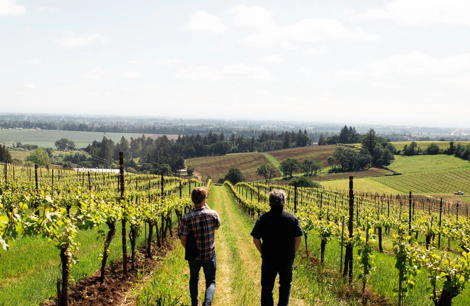 Winemakers walking through the vineyards at Evening Land
