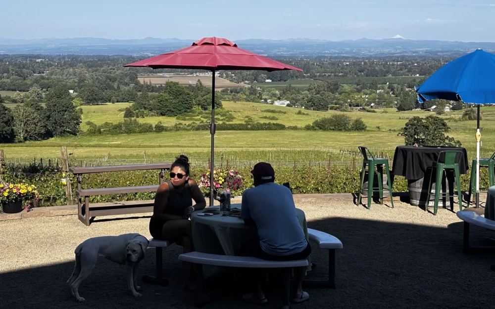 Outdoor patio tasting at Rh Estate Wines at Redhawk Vineyard