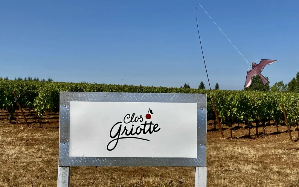 Clos Griotte Vineyard entrance sign