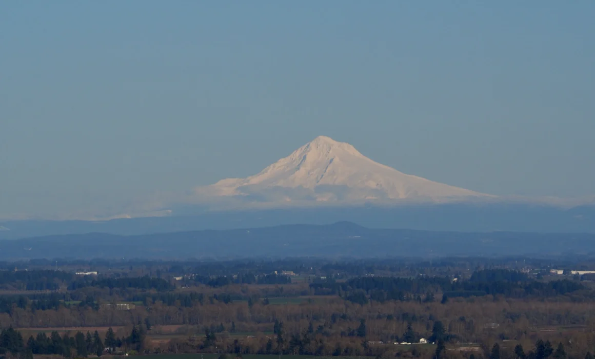 Clos Griotte Vineyard