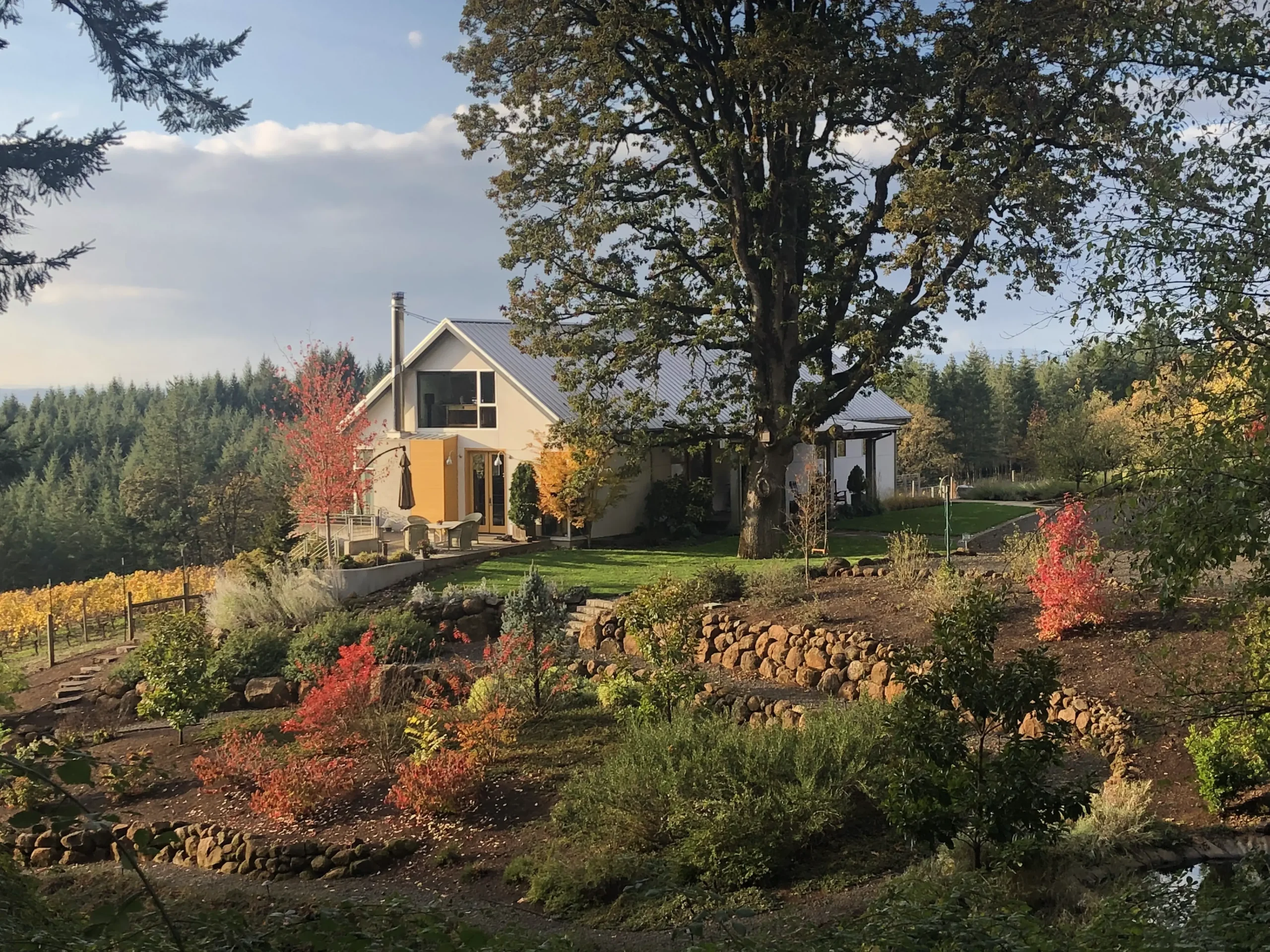 IMG_1860 Pre-Thanksgiving Open House at Iterum