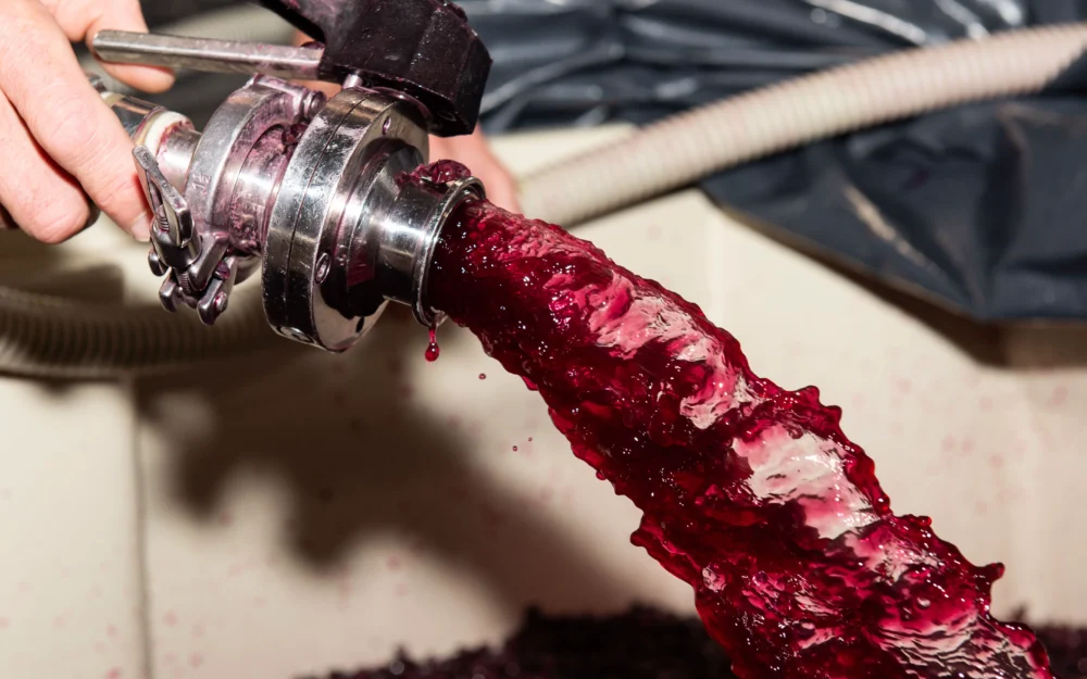 Winemaking at GC Wines