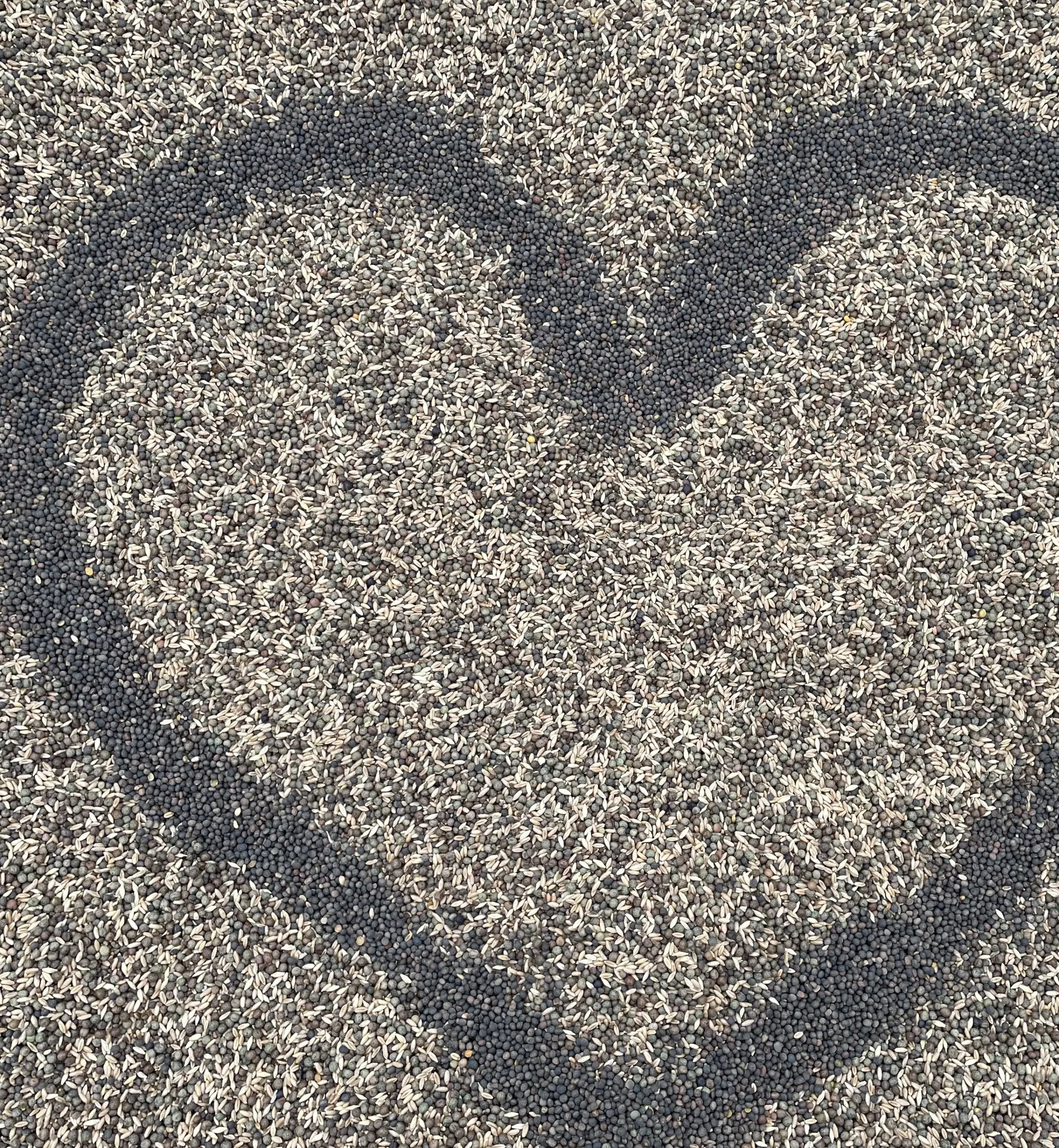 5cmv6xrw Brooks Wine Lab: Love is Blind