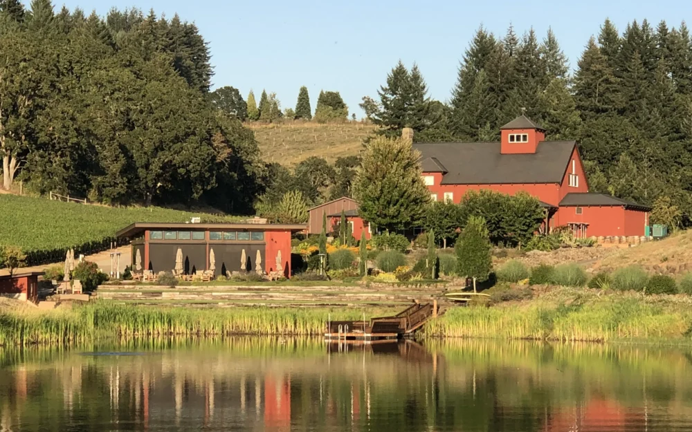 Dukes Family Vineyard in Eola-Amity Hills