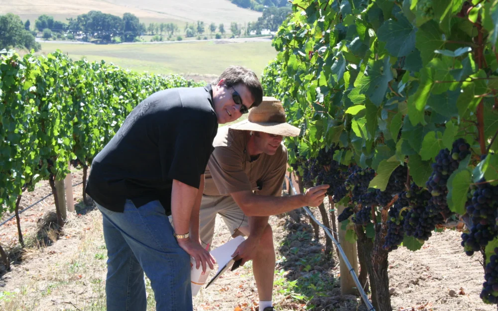 Inspecting the vines at Dukes Family Vineyard