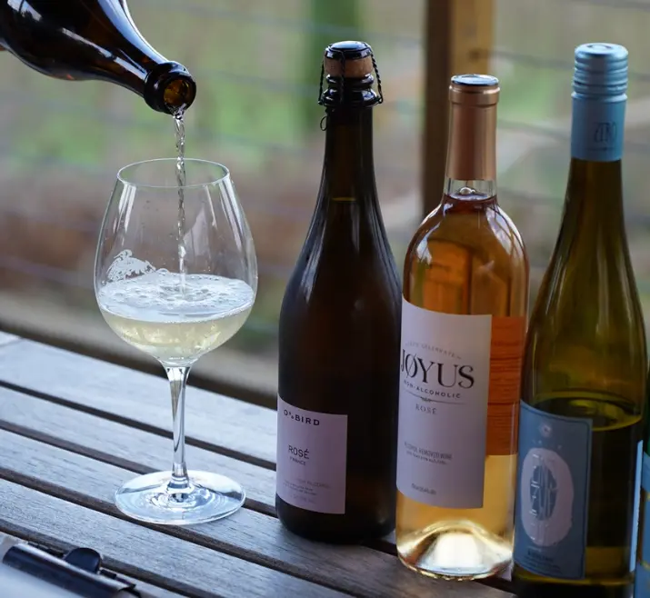 Sip & Savor: Energy & Motion at Brooks Winery