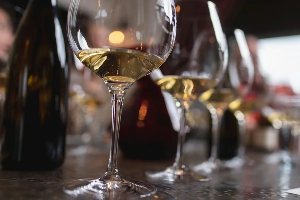 Release Weekend: 2025 Amycas