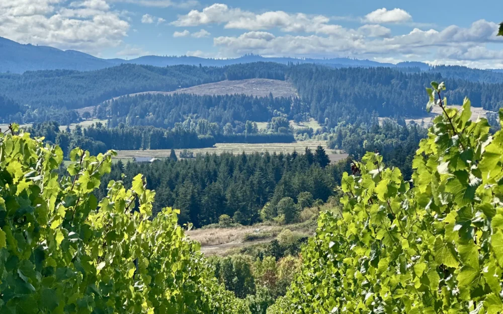 Olive Hamilton Russell