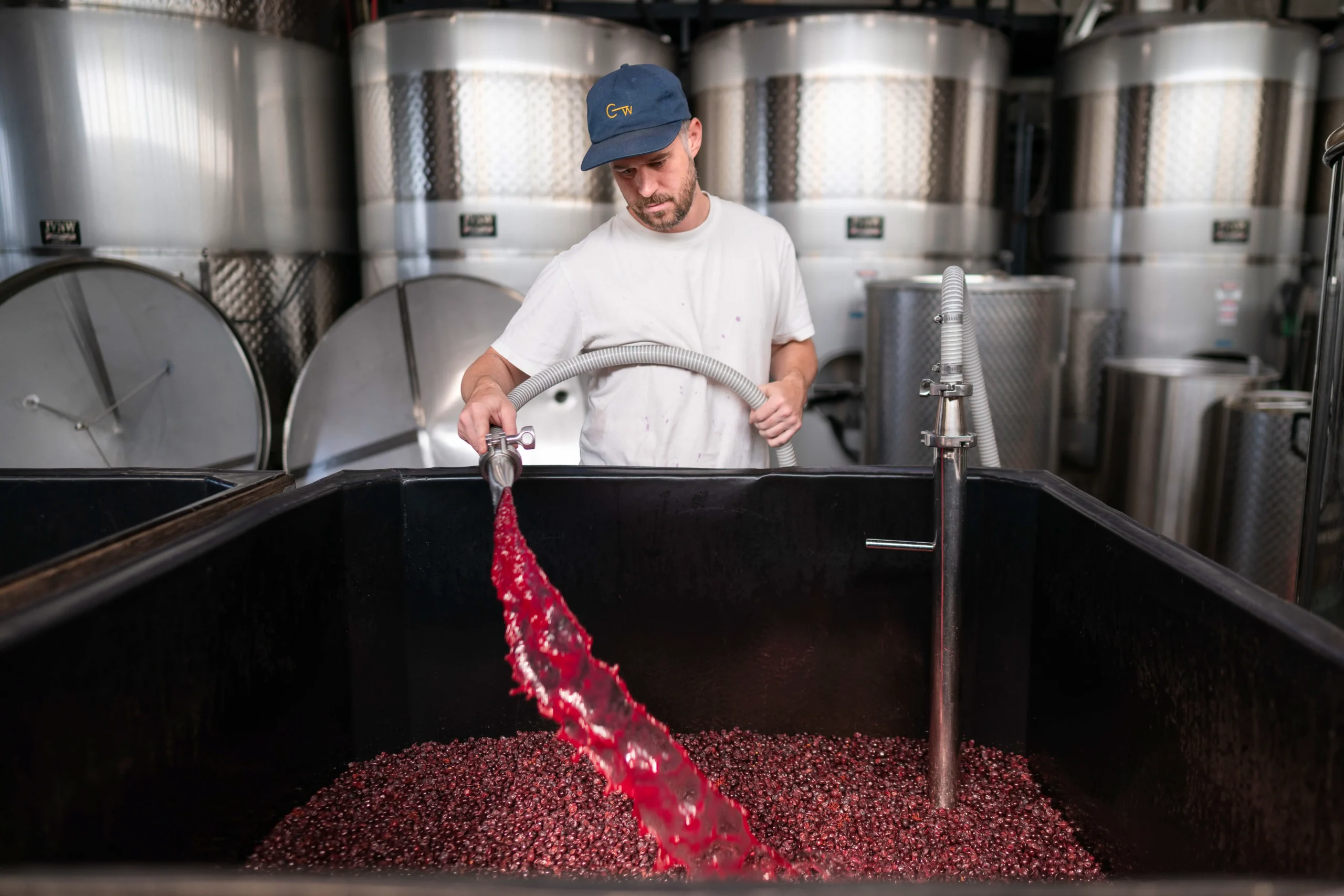 Alex Fortson, Winemaker and Owner of Meliora Winery