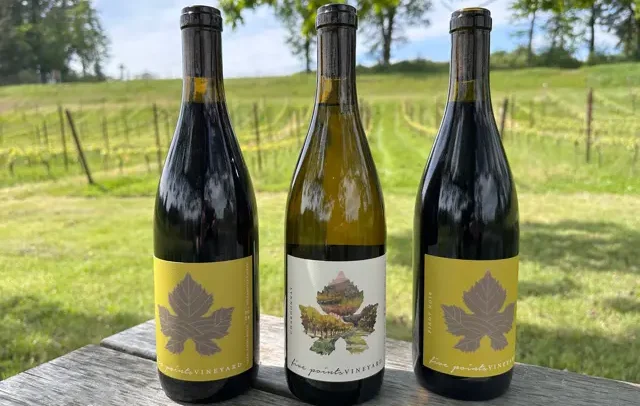 Three bottles of Five Points Vineyard wine