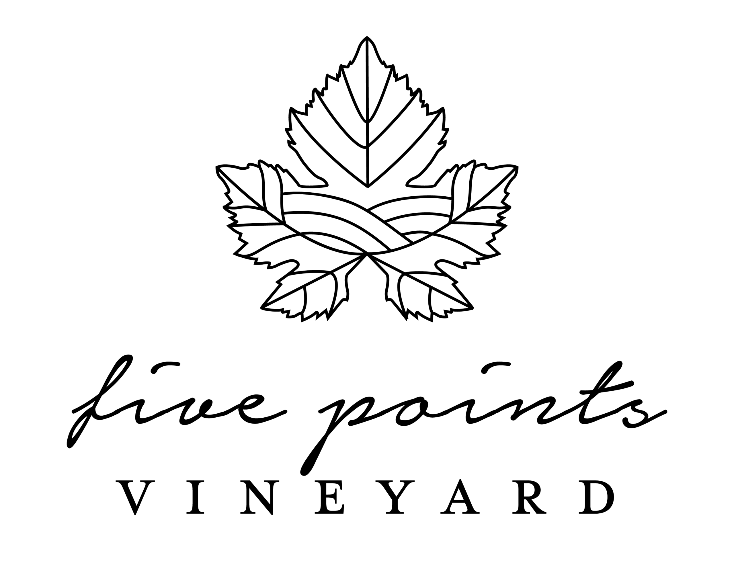 Five Points Vineyard logo