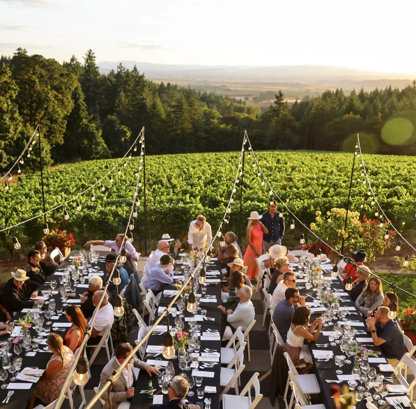 Cozy Taberna Summer Series Iterum Winemaker's Dinner