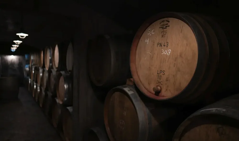 Wine barrels