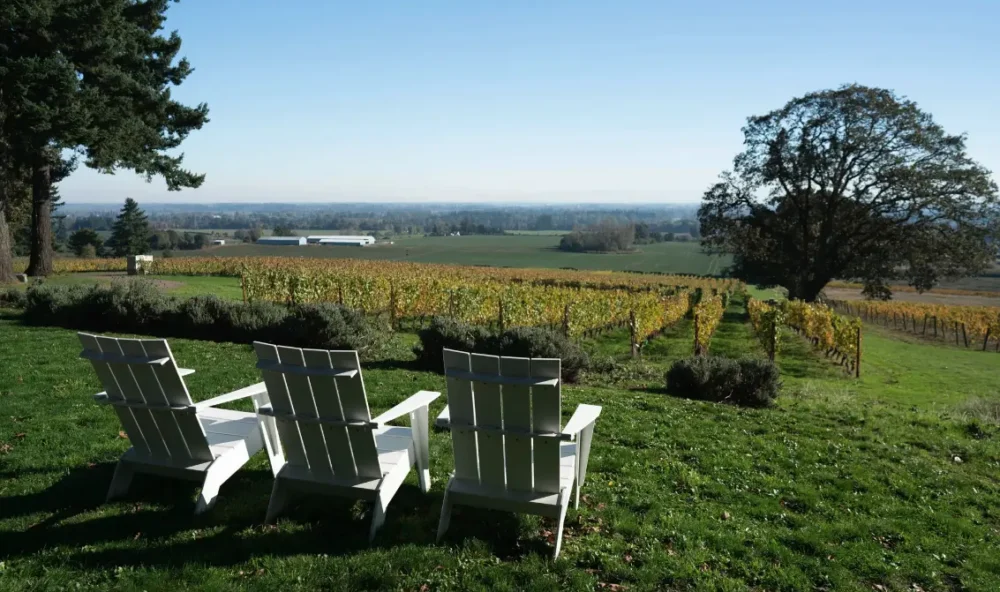Adirondack chairs facing a vineyard view